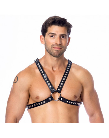 Rimba - Chest harness decorated with studs