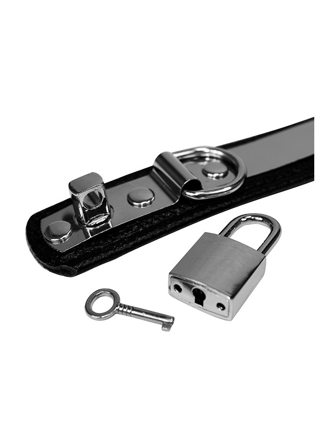 https://www.rimba.eu/5218-large_default/rimba-leather-collar-25-cm-wide-with-metal-and-padlock.jpg
